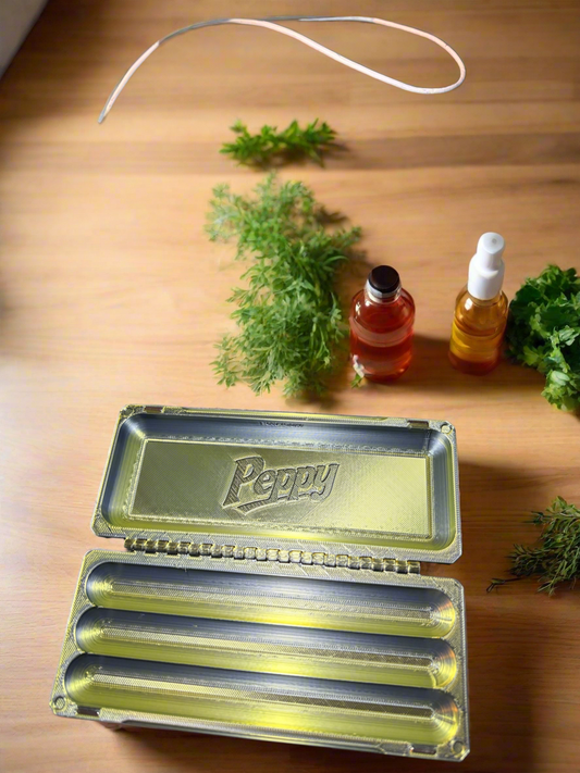 3 pen case w/magnetic locks