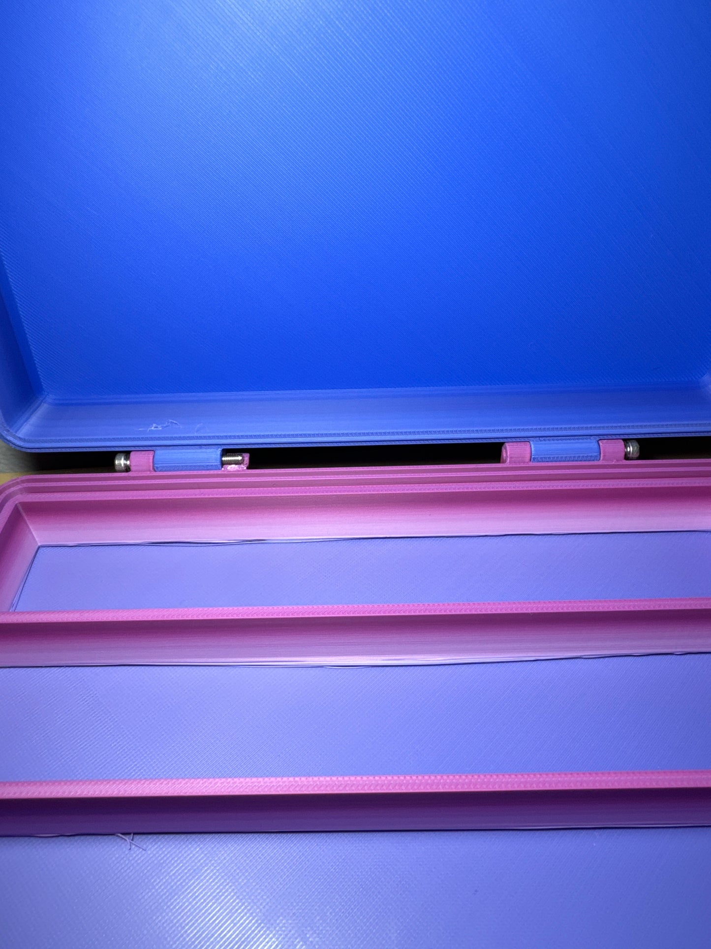 5 divider syringe case
 **DAMAGED HINGE**